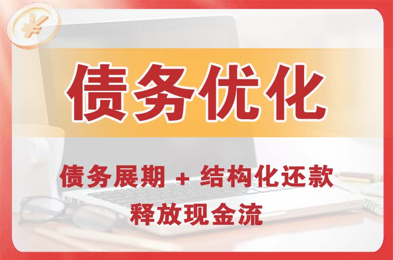 萝岗债务优化